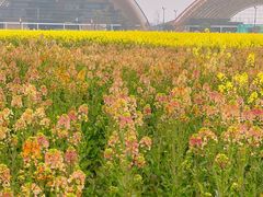 -中国天府农业博览园