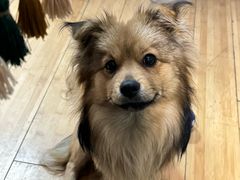 -恒生商业广场(上丰店)