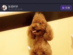 -我爱吾宠宠物美容院(朝阳路店)