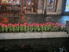 -大食代美食广场(上海中心店)