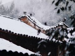 -杨家堂村