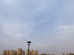-丁香湖公园
