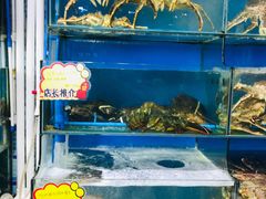 水产区-蚝专家(北滘店)