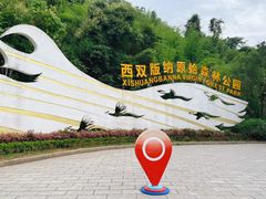 -西双版纳原始森林公园