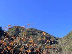 -太平万花山景区