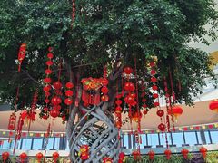 -南通洲际绿博园
