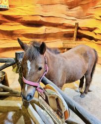 -酷嗒动物文化乐园(cutezoo西溪乐天城店)