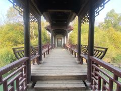 -八大山人梅湖景区