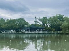 -江心屿景区