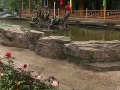 -参仙谷生态旅游度假区
