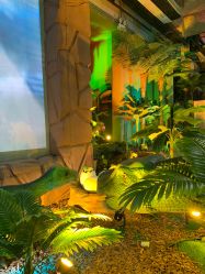 -恐龙探索乐园(磁器口店)