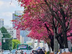 -昆明动物园