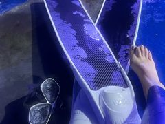 -太奥幻太奇海洋馆