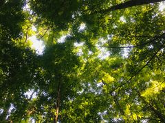 -桤木河湿地公园