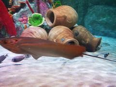 -沈阳海洋探索中心