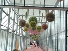 -上海鲜花港