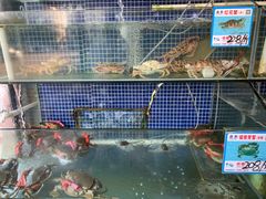 水产区-庆余生平价生猛海鲜(海棠湾林旺夜市店)
