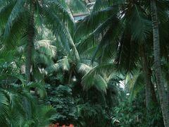 -三亚湾海居铂尔曼度假酒店