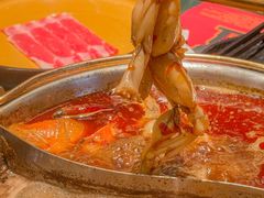 -牛New寿喜烧(金鹰世界店)