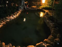 -深业半汤御泉庄温泉