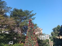 -威蒂斯国际健身游泳会所(东莞庄路店)