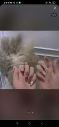 -Halo美甲美睫