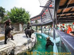 -灵玲国际马戏城