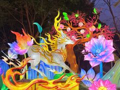 -海合安成都极地海洋公园