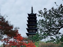 -上海方塔园