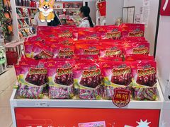 -舜华临武鸭·湖南零食特产(三王街店)