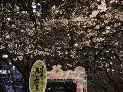 -西北湖绿化广场