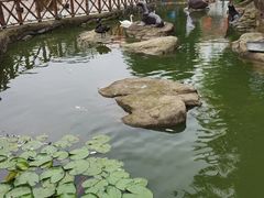 -海合安武汉极地海洋公园