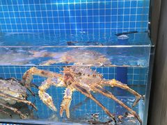 -前王院•巧克力海鲜市集餐厅(万平口店)