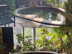 -郑州银基黄帝宫御温泉