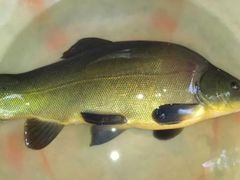 -潇湘·永州会馆(百子湾店)