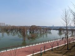 -灞河西岸滨河公园