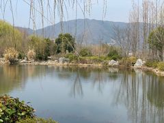 -雅达·阳羡溪山小镇中心
