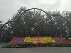 -呀路古热带植物园