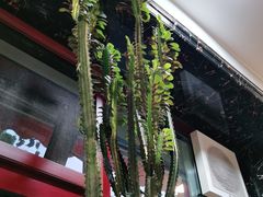 -伊隆斋(什刹海店)