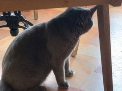 -Me Coffee下午茶艺术空间