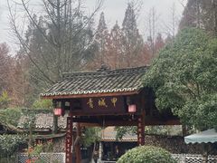 -青城甲(青城山店)