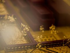 -ROSEONLY诺誓(国际广场购物中心店)