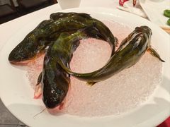 黄辣丁-皇城老妈火锅·川味传承(港湾店)
