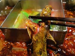 -红鼎坊·老成都火锅(新南门店)