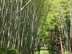 -同里国家湿地公园