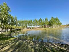 -东郊湿地公园