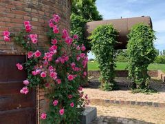 -安德鲁户外烧烤帐篷营地(马泉营店)