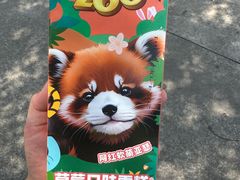 -常州淹城野生动物世界