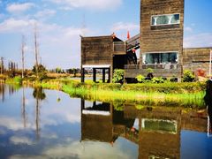 -呈贡滇池生态湿地公园