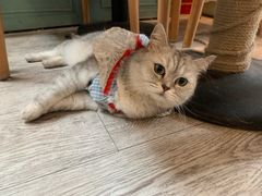 -小时光咖啡馆(北锣鼓巷店)